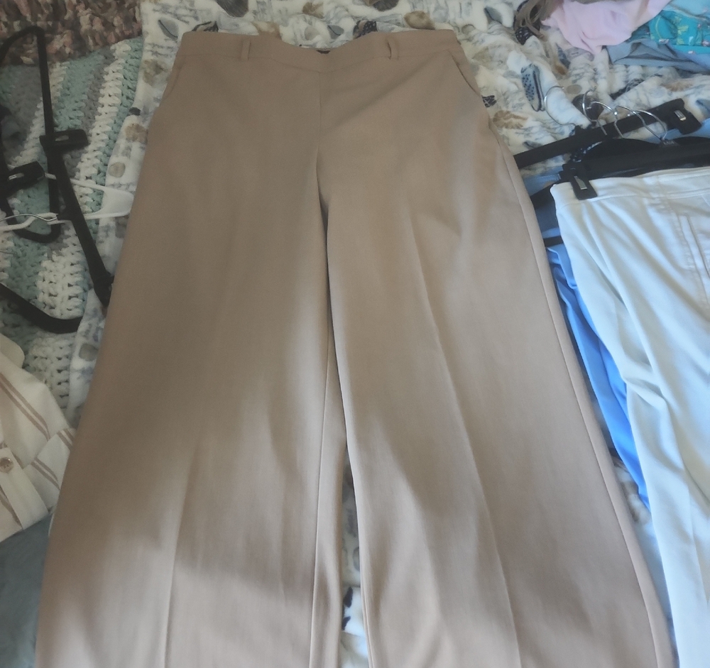 Ann Taylor Classic Wide-Leg Beige Pants